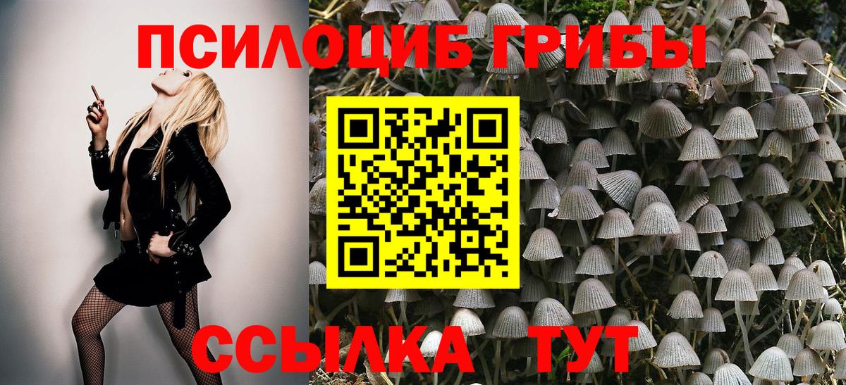 Галлюциногенные грибы ЛСД  Галлюциногенные грибы прущие грибы  Корсаков  Вход с VPN 